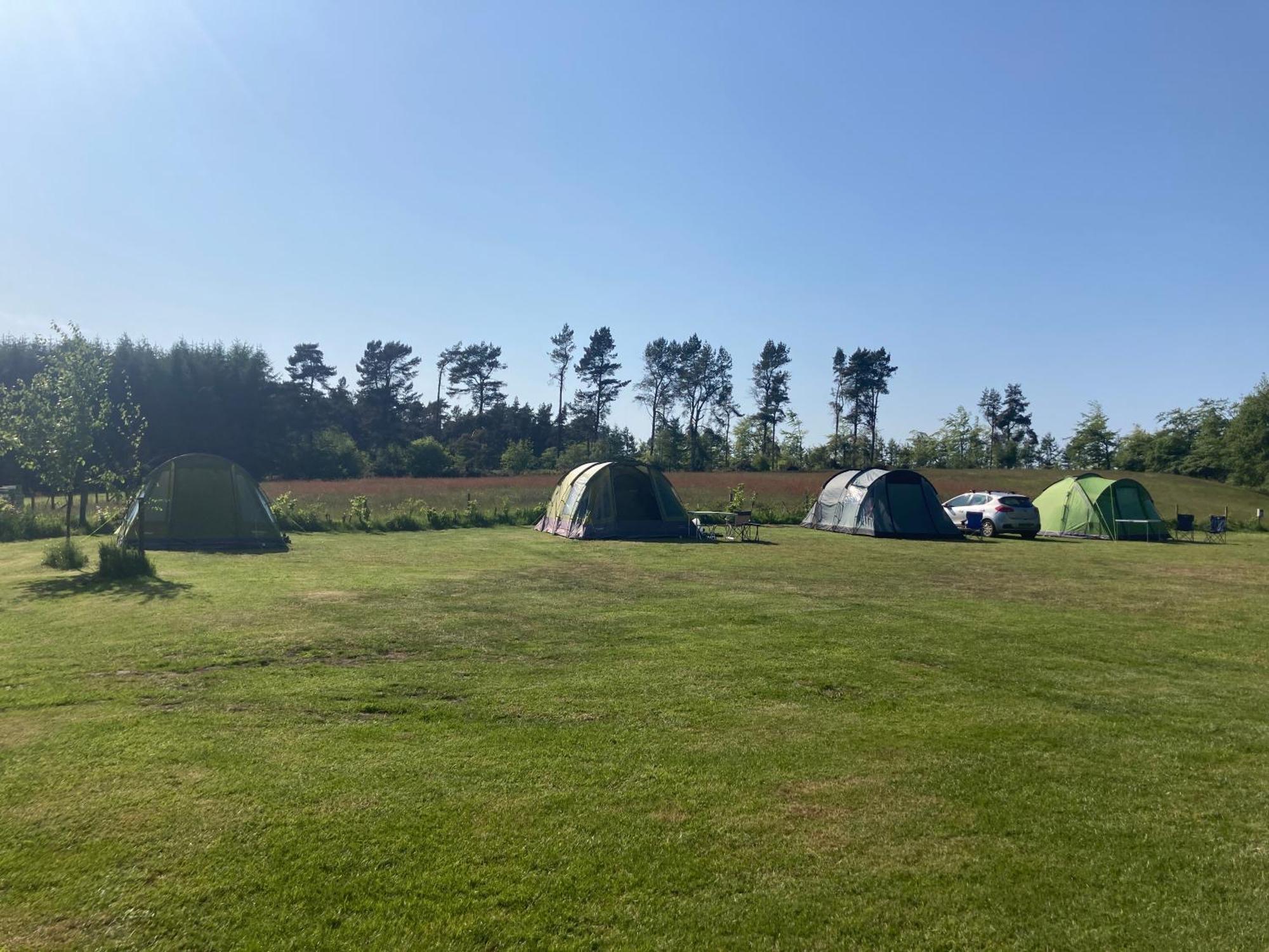 Hotel Bank Top Camping-North York Moors With Pitches For Caravans, Camper Vans And Tents Pickering Zewnętrze zdjęcie